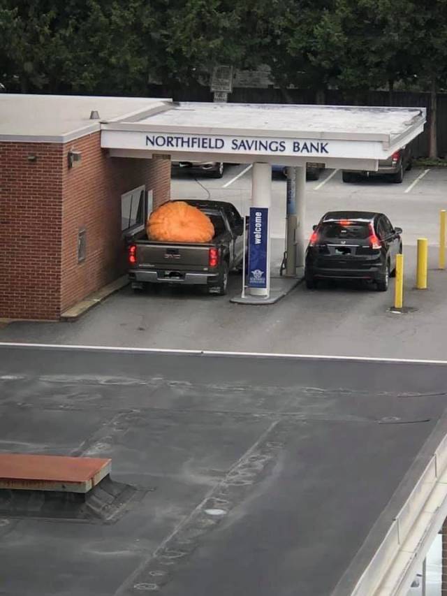 morning picdump 51 pics 17.html - 51 HD Photos | Premium Gallery 2018