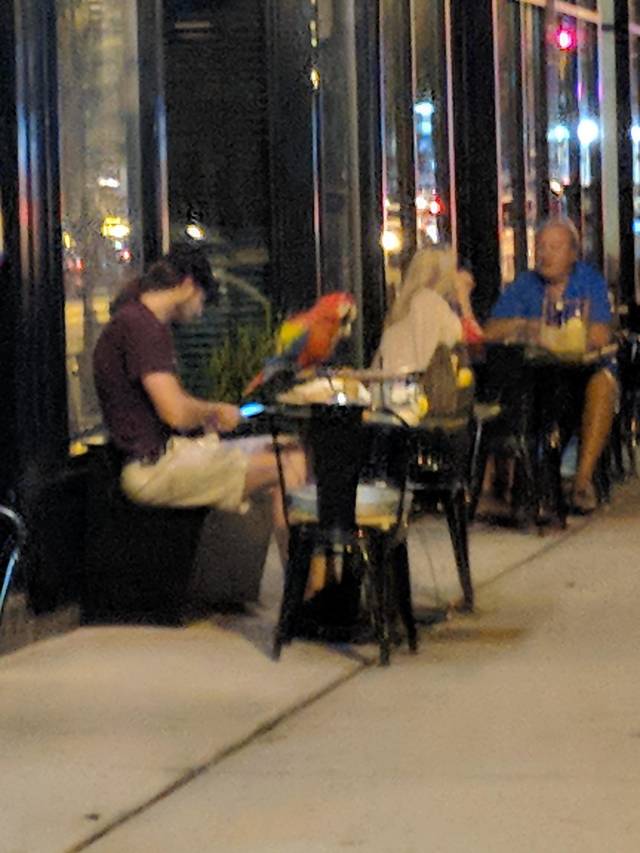 morning picdump 51 pics 17.html - 51 HD Photos | Premium Gallery 2018