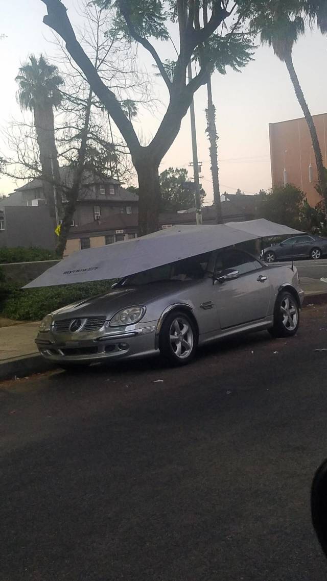 morning picdump 51 pics 17.html - 51 HD Photos | Premium Gallery 2018