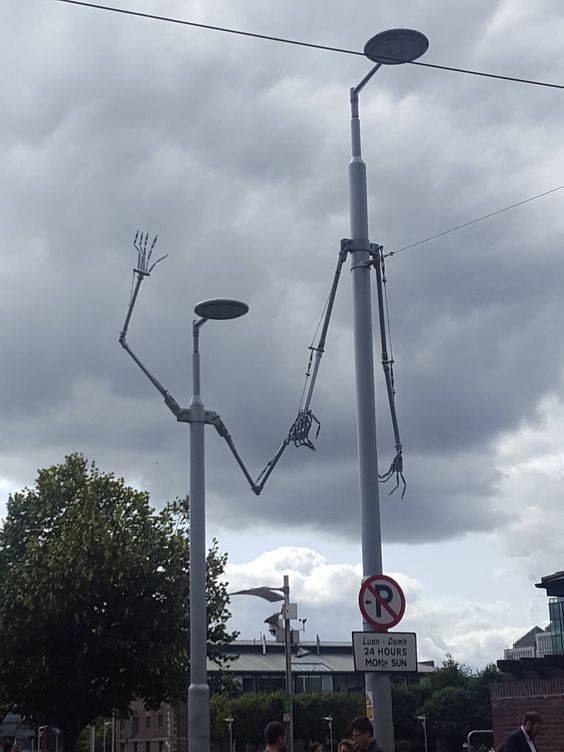 morning picdump 51 pics 17.html - 51 HD Photos | Premium Gallery 2018