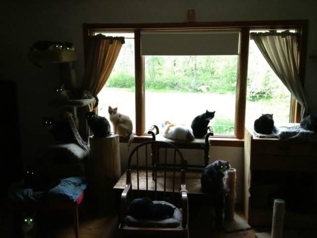 daily picdump 98 pics 40.html - 98 HD Photos | Premium Gallery 2018