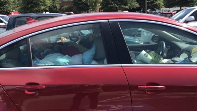 daily picdump 98 pics 40.html - 98 HD Photos | Premium Gallery 2018