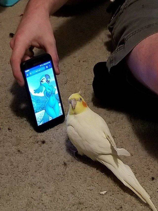 daily picdump 98 pics 40.html - 98 HD Photos | Premium Gallery 2018