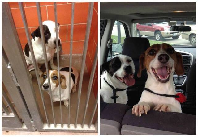 morning picdump 52 pics 25.html - 52 HD Photos | Premium Gallery 2018