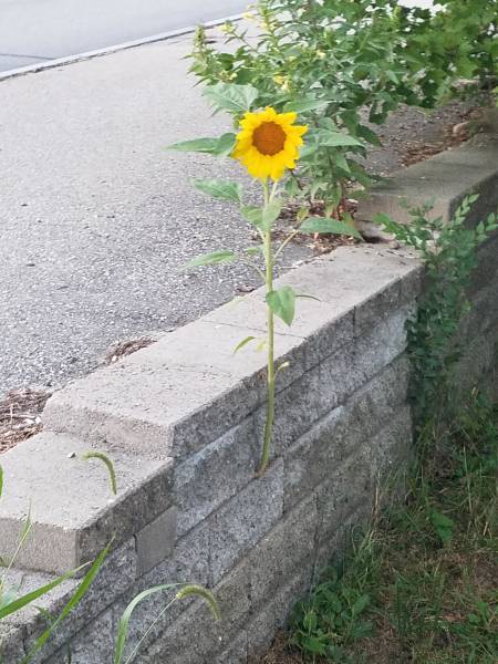morning picdump 52 pics 25.html - 52 HD Photos | Premium Gallery 2018