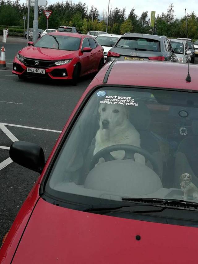Morning Picdump