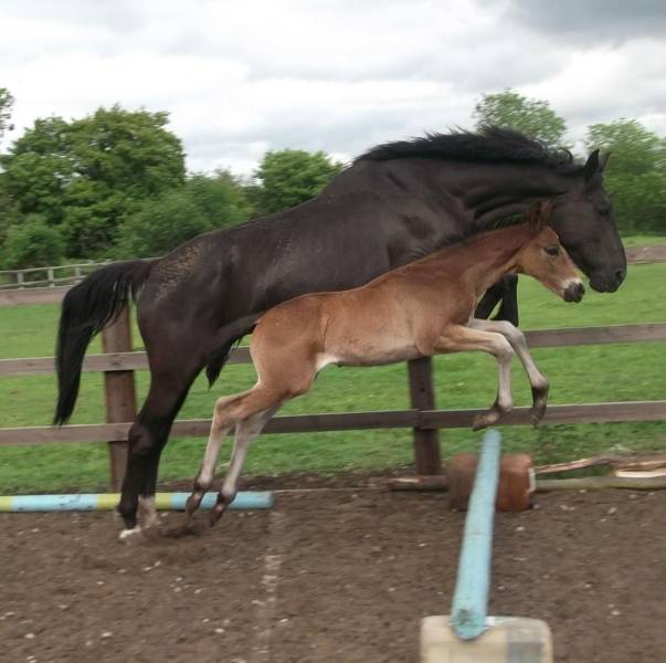 daily picdump weekend edition 76 pics 1.html - 76 HD Photos | Premium Gallery 2018