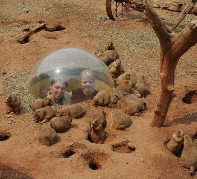 daily picdump weekend edition 76 pics 1.html - 76 HD Photos | Premium Gallery 2018