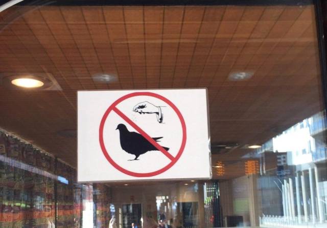 daily picdump weekend edition 76 pics 1.html - 76 HD Photos | Premium Gallery 2018