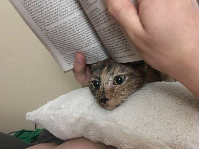 daily picdump weekend edition 76 pics 1.html - 76 HD Photos | Premium Gallery 2018