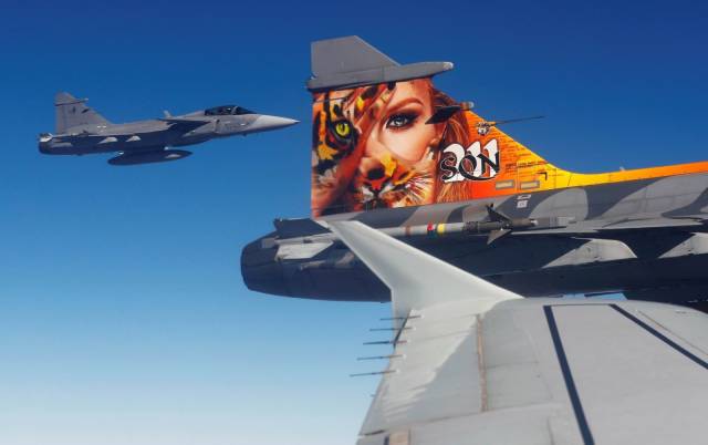 daily picdump weekend edition 76 pics 1.html - 76 HD Photos | Premium Gallery 2018