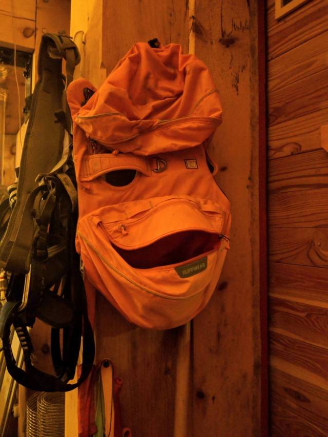 daily picdump weekend edition 76 pics 1.html - 76 HD Photos | Premium Gallery 2018