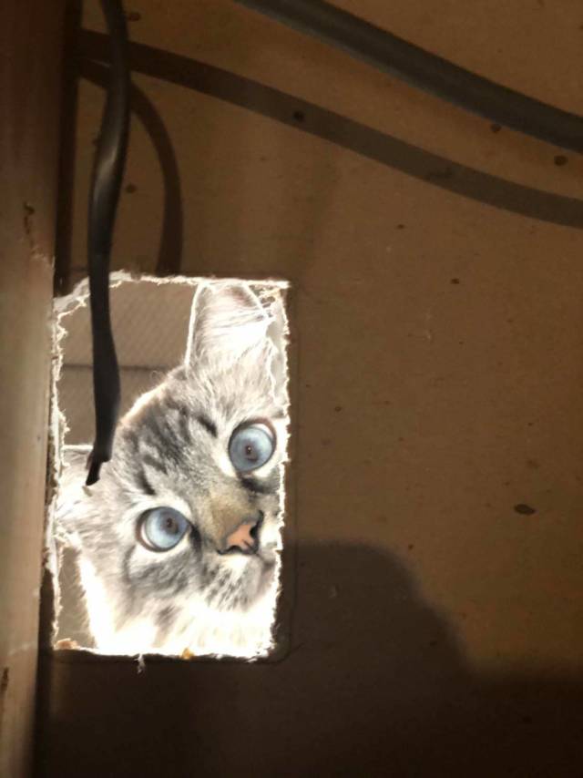 daily picdump weekend edition 76 pics 1.html - 76 HD Photos | Premium Gallery 2018