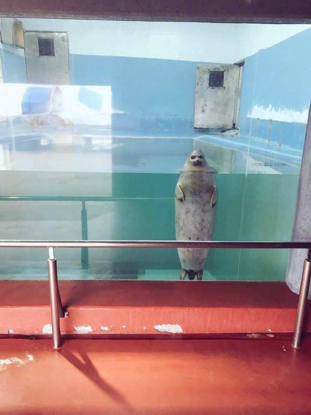 daily picdump weekend edition 76 pics 1.html - 76 HD Photos | Premium Gallery 2018