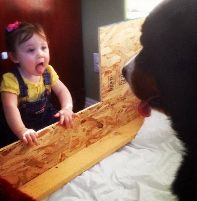 daily picdump weekend edition 76 pics 1.html - 76 HD Photos | Premium Gallery 2018