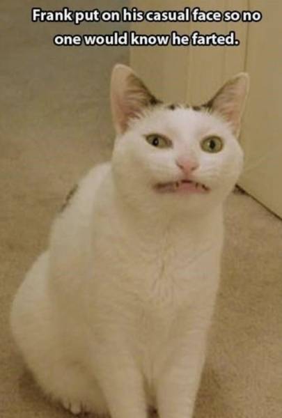 Fart Memes That Don’t Smell So Good