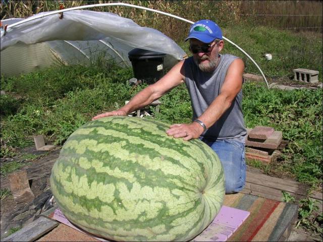 daily picdump 96 pics 7.html - 96 HD Photos | Premium Gallery 2018