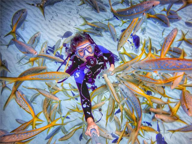 daily picdump 96 pics 7.html - 96 HD Photos | Premium Gallery 2018