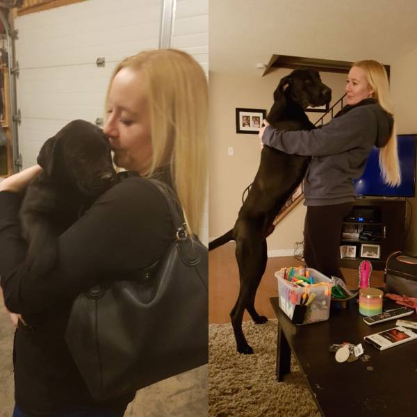 daily picdump 96 pics 7.html - 96 HD Photos | Premium Gallery 2018