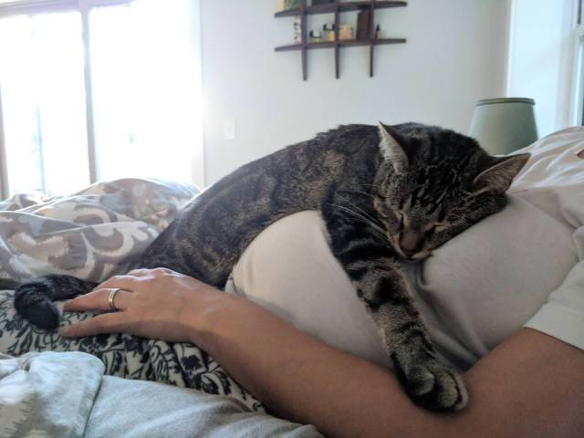 daily picdump 96 pics 7.html - 96 HD Photos | Premium Gallery 2018