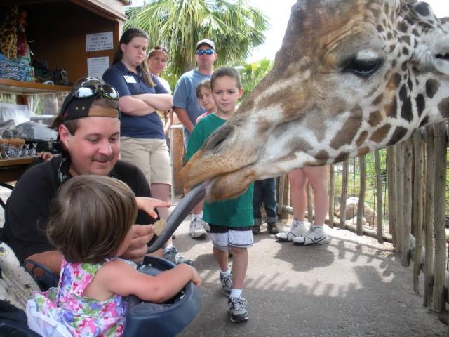 daily picdump 96 pics 7.html - 96 HD Photos | Premium Gallery 2018