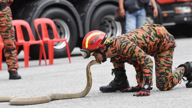 daily picdump 96 pics 7.html - 96 HD Photos | Premium Gallery 2018