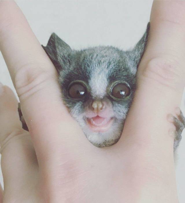 daily picdump 96 pics 7.html - 96 HD Photos | Premium Gallery 2018