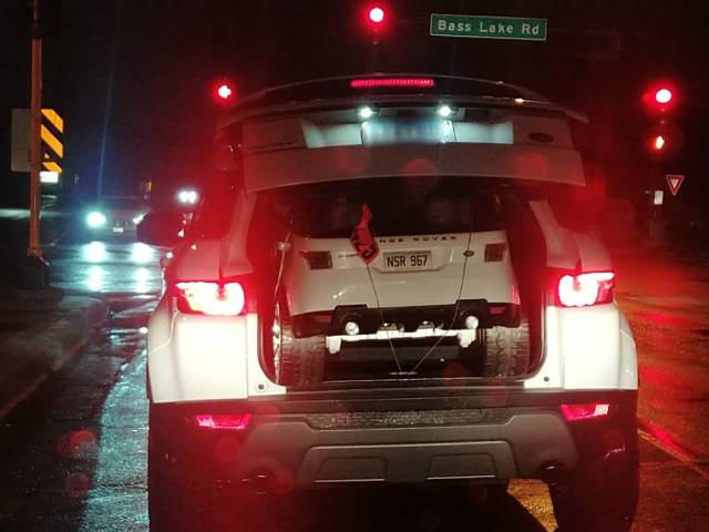 Morning Picdump
