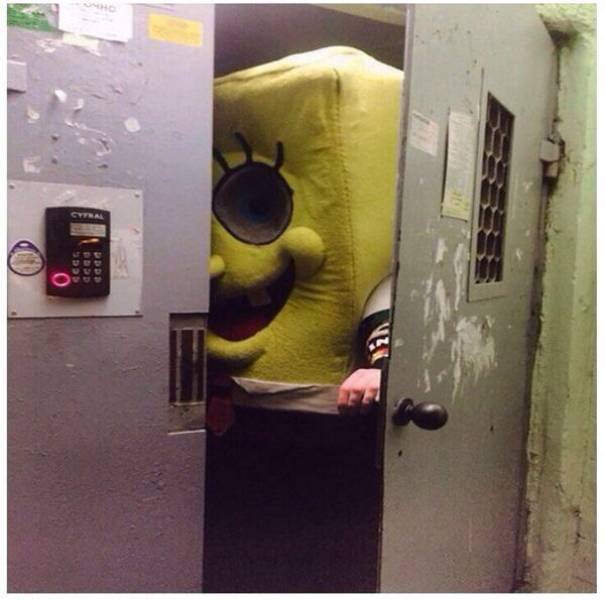 Morning Picdump