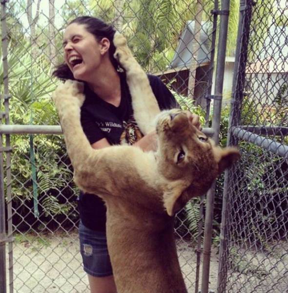 Daily Picdump