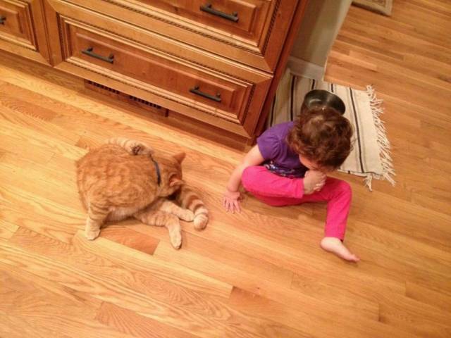 daily picdump 90 pics 3.html - 90 HD Photos | Premium Gallery 2018