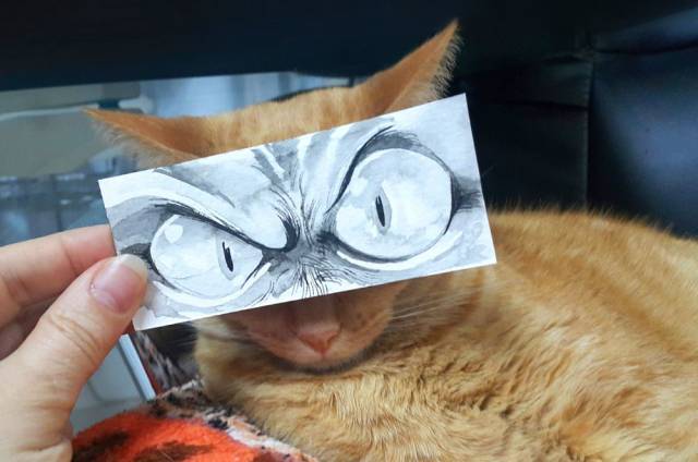 daily picdump 90 pics 3.html - 90 HD Photos | Premium Gallery 2018