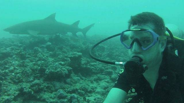 daily picdump 90 pics 3.html - 90 HD Photos | Premium Gallery 2018