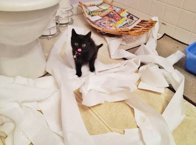 daily picdump 90 pics 3.html - 90 HD Photos | Premium Gallery 2018