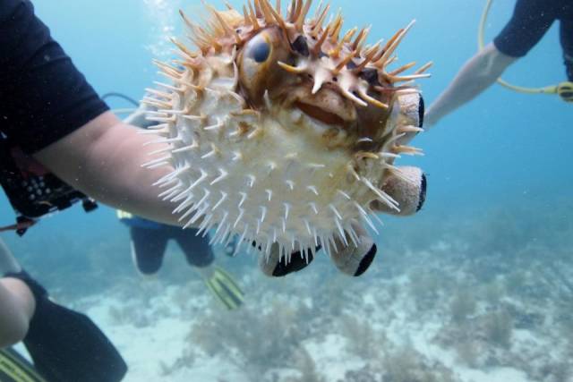 daily picdump 90 pics 3.html - 90 HD Photos | Premium Gallery 2018