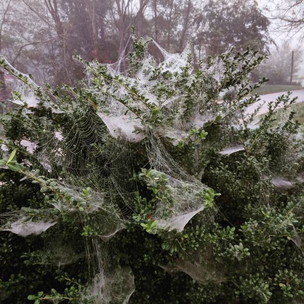 daily picdump 90 pics 3.html - 90 HD Photos | Premium Gallery 2018