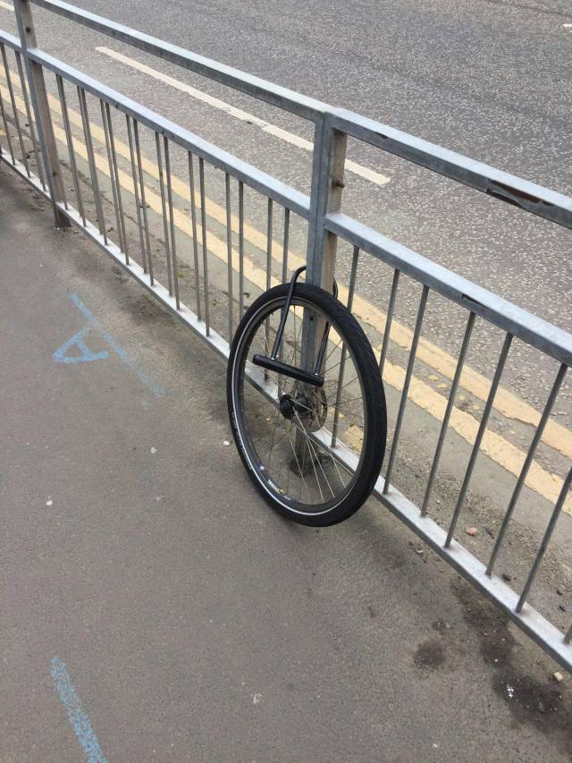 daily picdump 90 pics 3.html - 90 HD Photos | Premium Gallery 2018