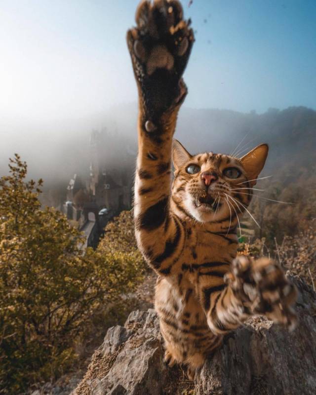 daily picdump 90 pics 3.html - 90 HD Photos | Premium Gallery 2018