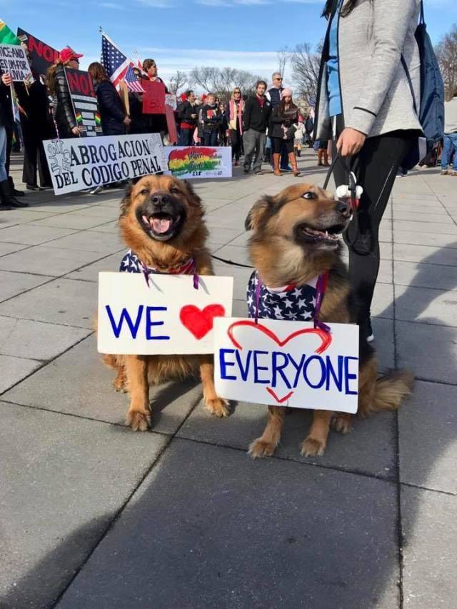 daily picdump 90 pics 3.html - 90 HD Photos | Premium Gallery 2018