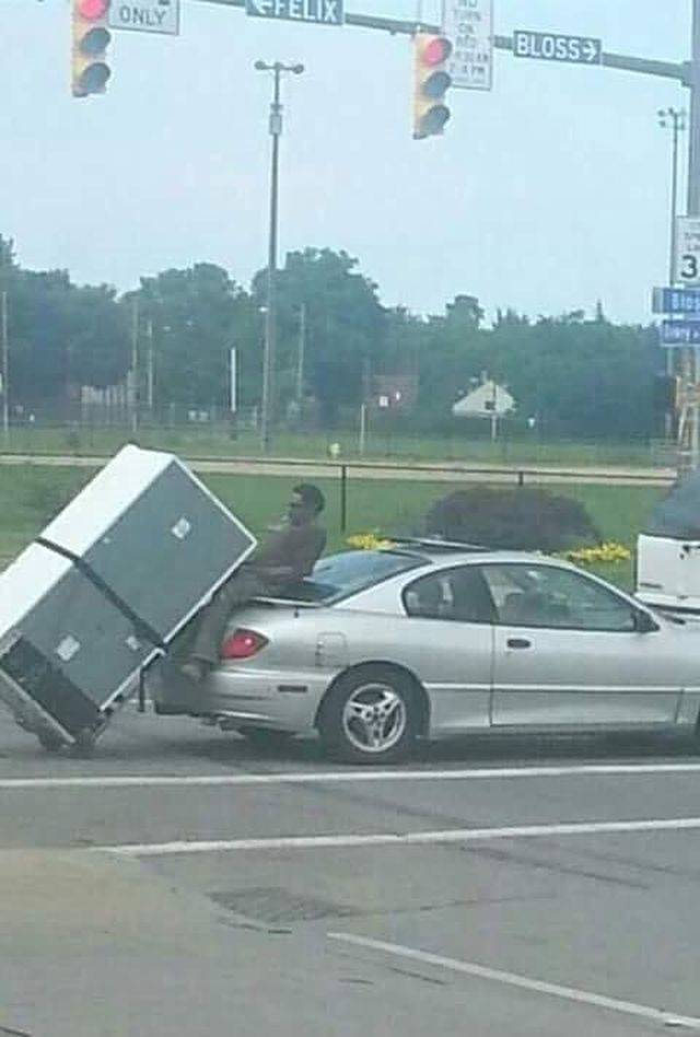 daily picdump 90 pics 3.html - 90 HD Photos | Premium Gallery 2018