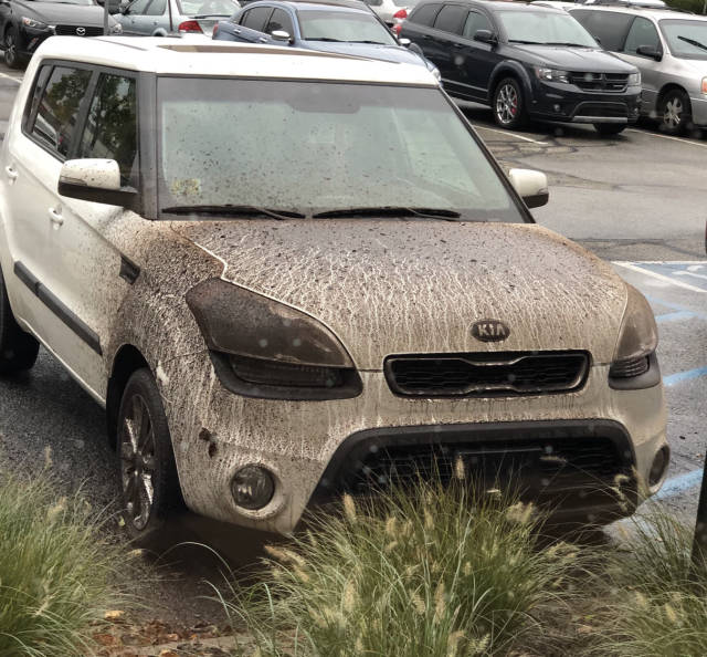 morning picdump 50 pics 8.html - 50 HD Photos | Premium Gallery 2018