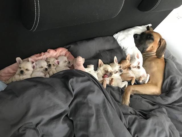 Daily Picdump [WEEKEND EDITION]