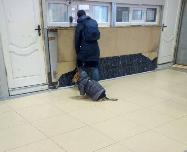 daily picdump weekend edition 50 pics 3.html - 50 HD Photos | Premium Gallery 2018