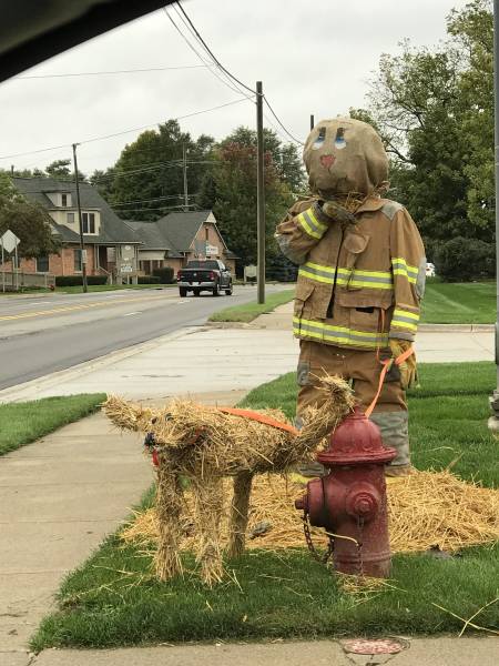 daily picdump weekend edition 50 pics 3.html - 50 HD Photos | Premium Gallery 2018