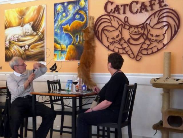 daily picdump weekend edition 50 pics 3.html - 50 HD Photos | Premium Gallery 2018