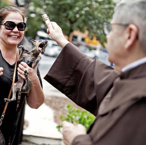 daily picdump weekend edition 50 pics 3.html - 50 HD Photos | Premium Gallery 2018