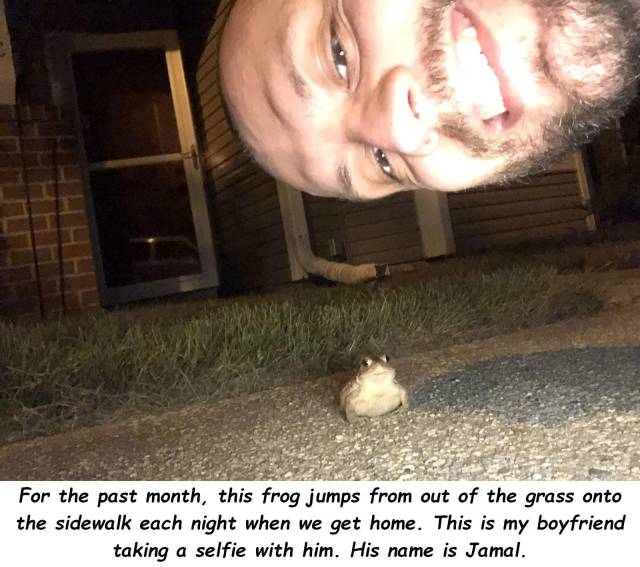 daily picdump 94 pics 3.html - 94 HD Photos | Premium Gallery 2018