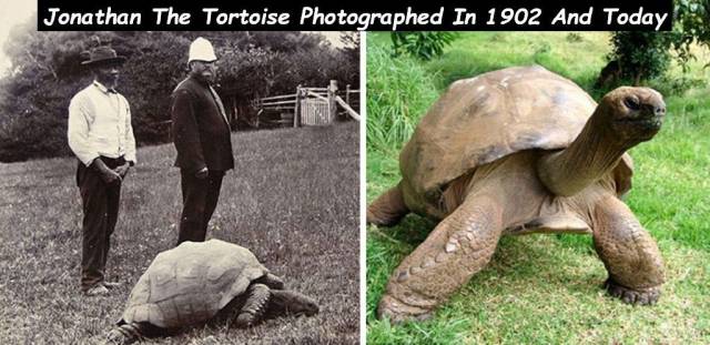 daily picdump 94 pics 3.html - 94 HD Photos | Premium Gallery 2018