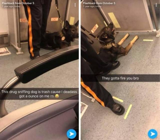 daily picdump 94 pics 3.html - 94 HD Photos | Premium Gallery 2018