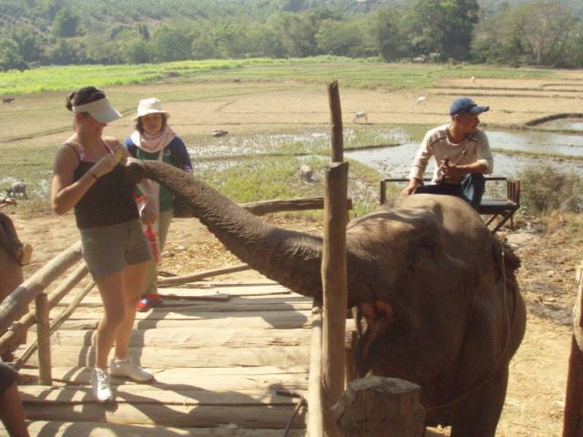 daily picdump 94 pics 3.html - 94 HD Photos | Premium Gallery 2018